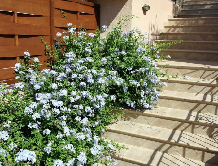 Provenzo And Meliti Villas Lourdata  Exterior photo